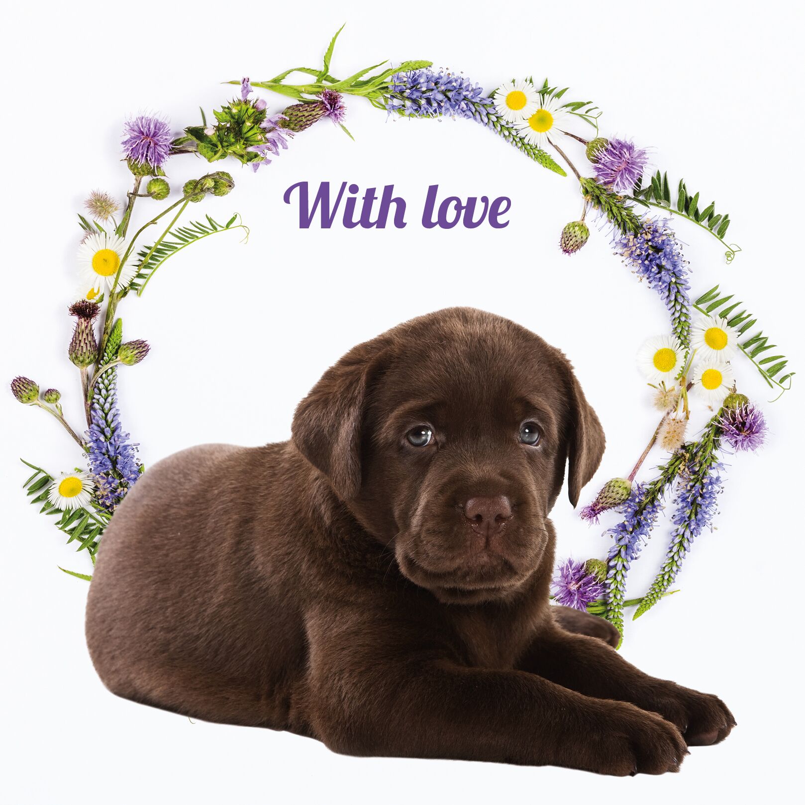 Plenty Gifts Kaart With Love Choc Lab