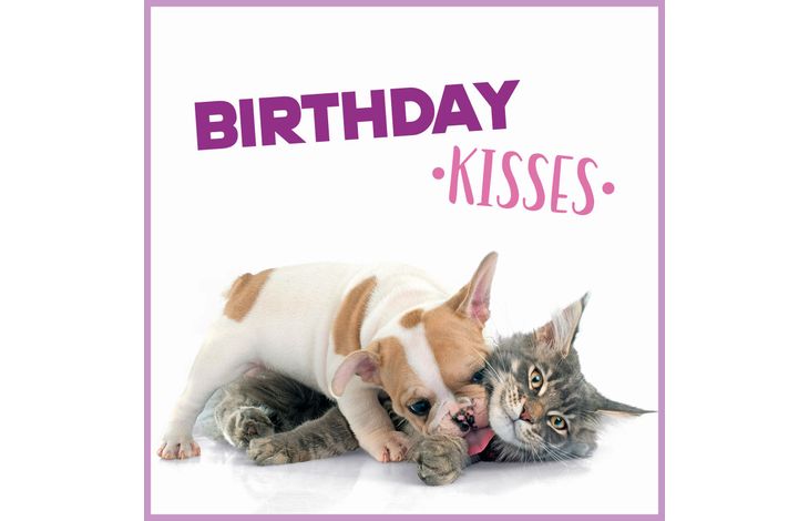 Plenty Gifts Kaart Birthday Kisses