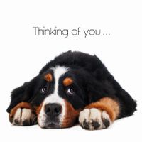 Plenty Gifts Kaart Thinking Of You