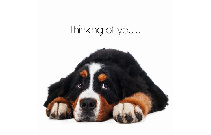 Plenty Gifts Kaart Thinking Of You