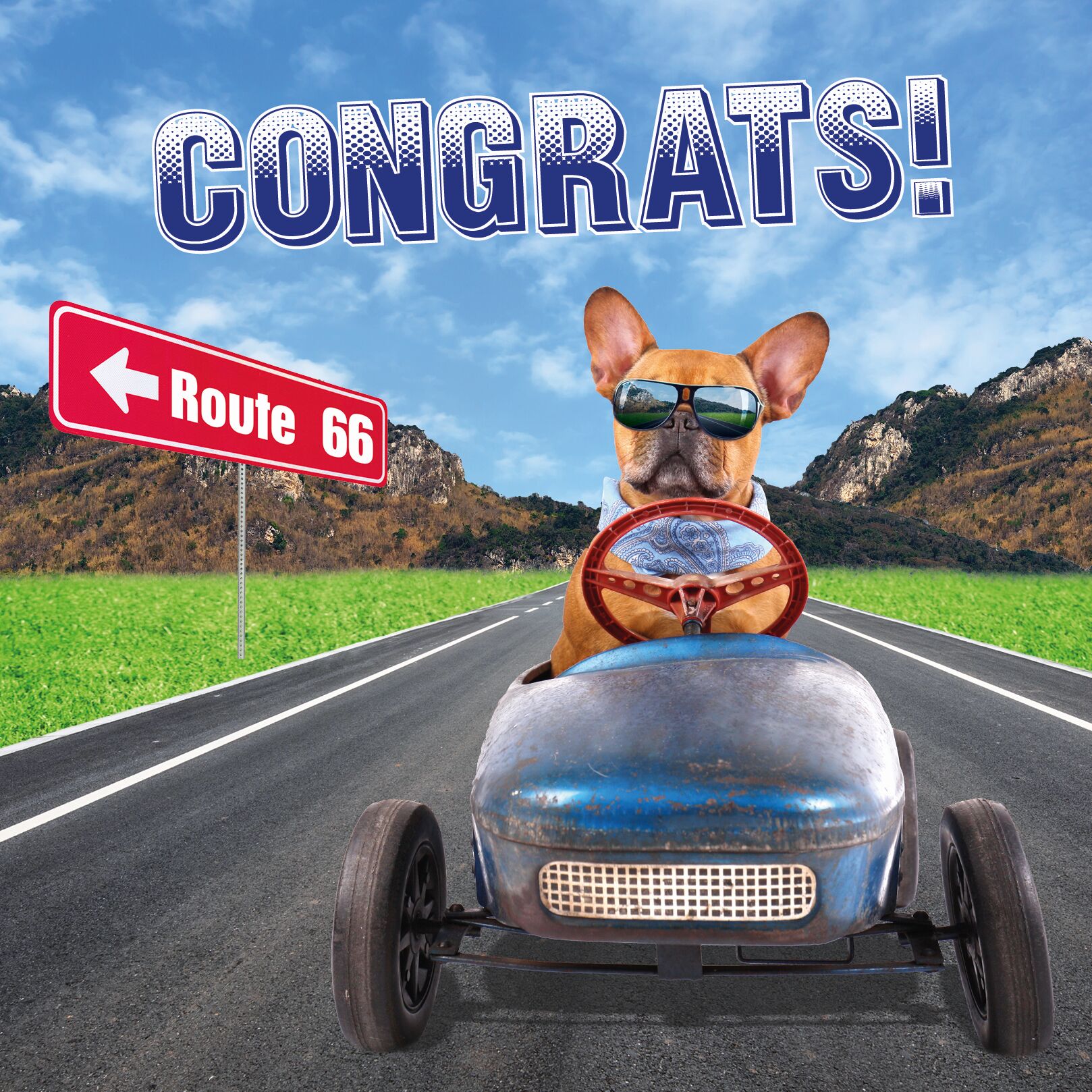 Plenty Gifts Kaart Route 66 Frenchie