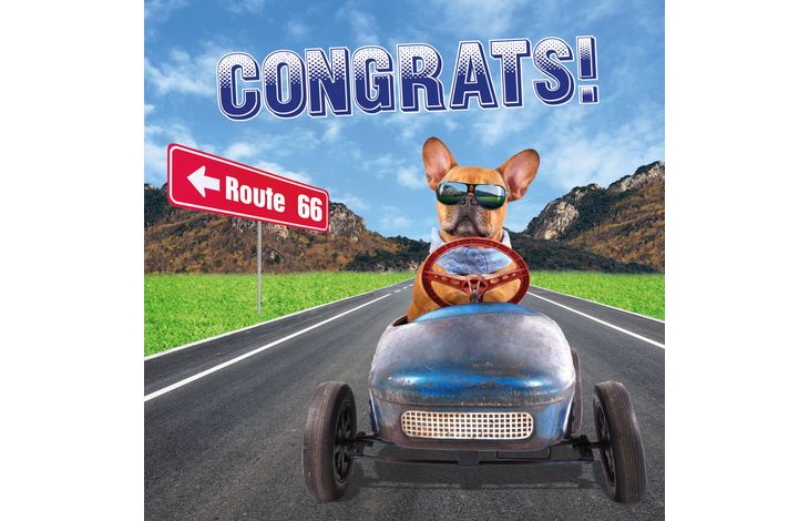 Plenty Gifts Kaart Route 66 Frenchie