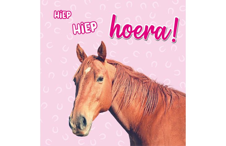 Plenty Gifts Kaart Hiep Hiep Hoera Paard