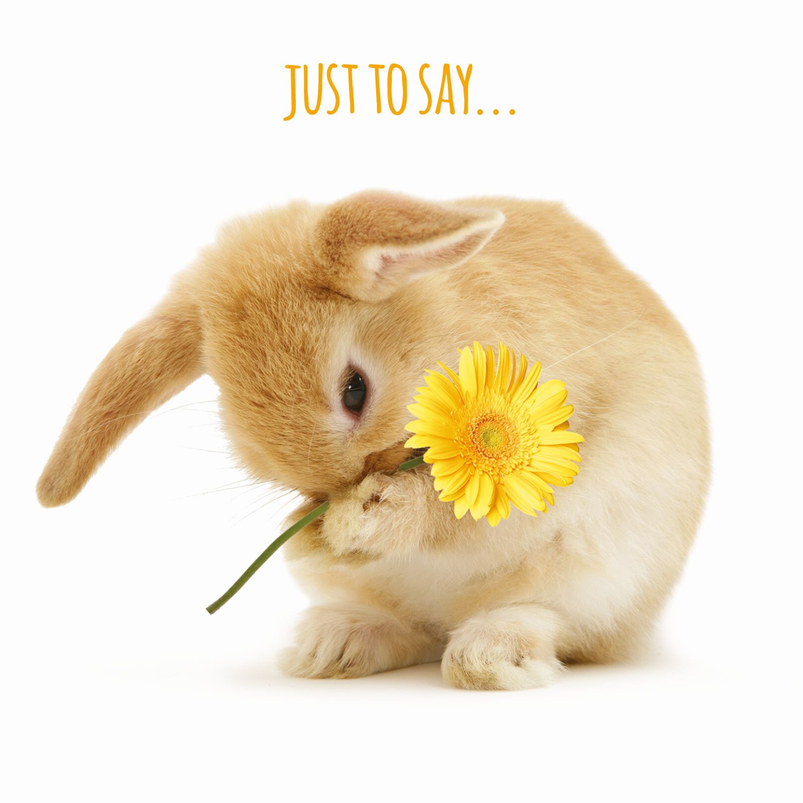 Plenty Gifts Kaart A Little Something