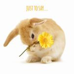 Kaart A Little Something