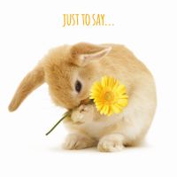 Plenty Gifts Kaart A Little Something