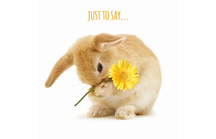 Plenty Gifts Kaart A Little Something