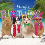 Kaart Birthday Party