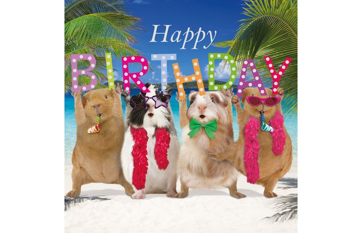 Plenty Gifts Kaart Birthday Party