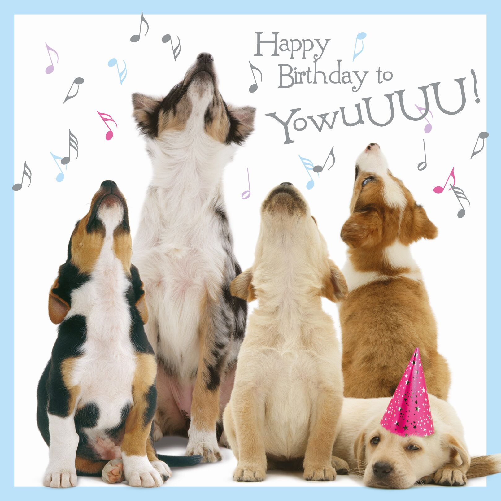 Plenty Gifts Kaart Howling Pups