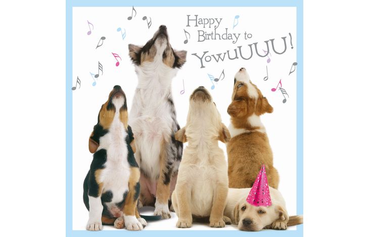 Plenty Gifts Kaart Howling Pups