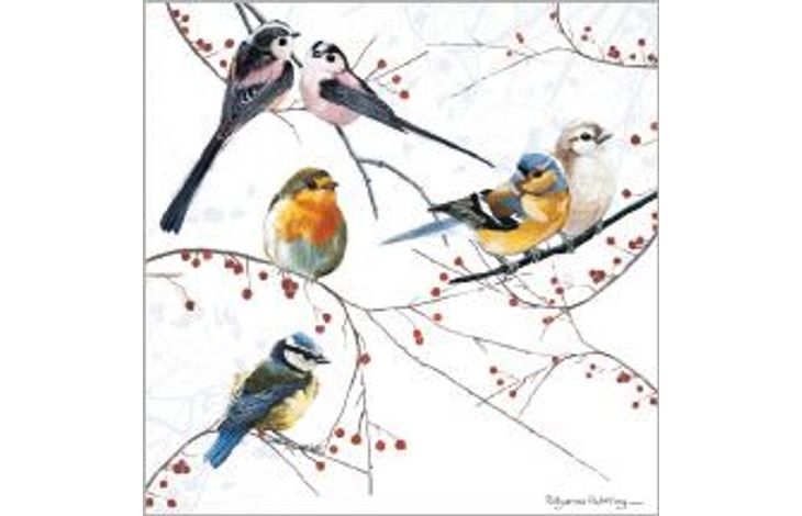 Plenty Gifts Kaart CS Birds Perching