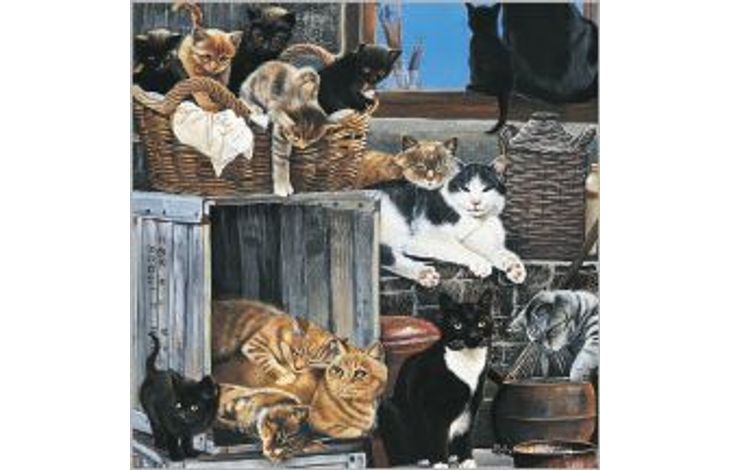 Plenty Gifts Kaart CS Company Of Cats