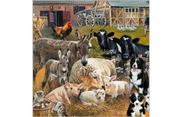 Plenty Gifts Kaart CS Farmyard Animals