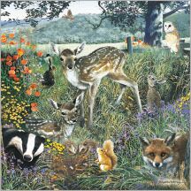 Plenty Gifts Kaart CS Forest Animals