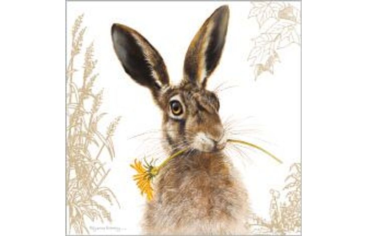 Plenty Gifts Kaart CS Hare And Dandylion