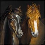 Kaart CS Pony Friends