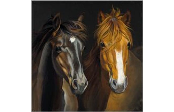 Plenty Gifts Kaart CS Pony Friends