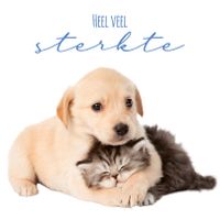 Plenty Gifts Kaart Heel Veel Sterkte