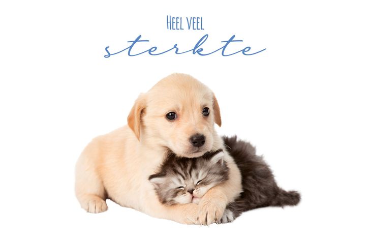 Plenty Gifts Kaart Heel Veel Sterkte