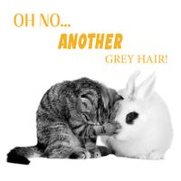 Plenty Gifts Kaart Another Grey Hair