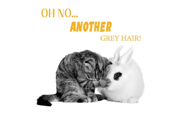 Plenty Gifts Kaart Another Grey Hair