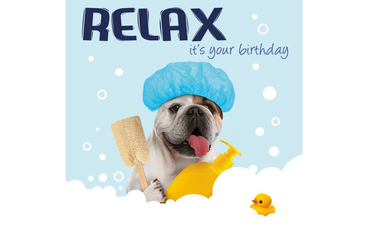 Plenty Gifts Kaart Relax Bulldog