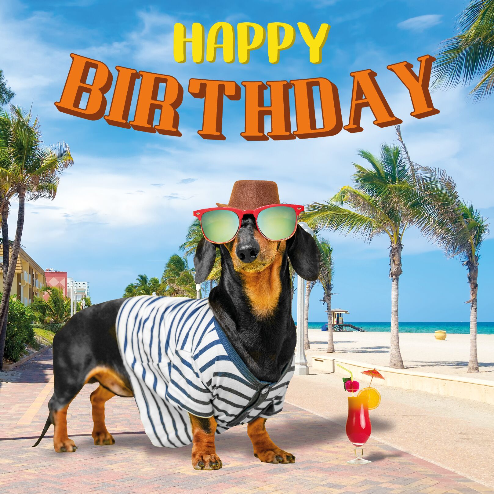 Plenty Gifts Kaart Happy Birthday Teckel