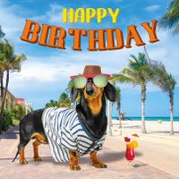 Plenty Gifts Kaart Happy Birthday Teckel