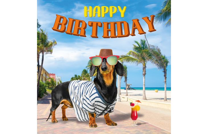 Plenty Gifts Kaart Happy Birthday Teckel