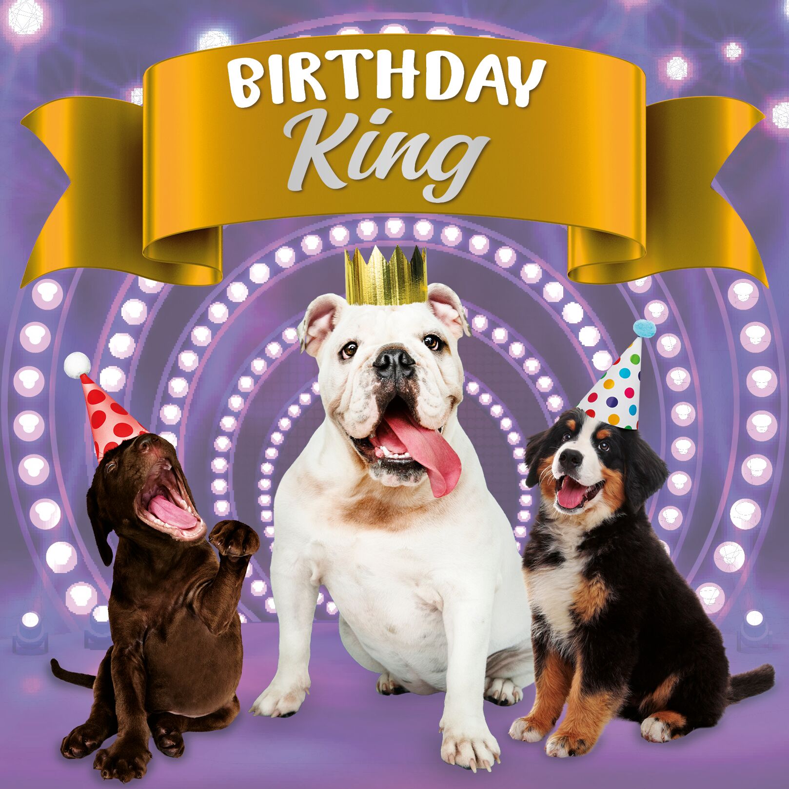 Plenty Gifts Kaart Birthday King