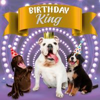 Plenty Gifts Kaart Birthday King