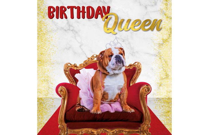 Plenty Gifts Kaart Birthday Queen