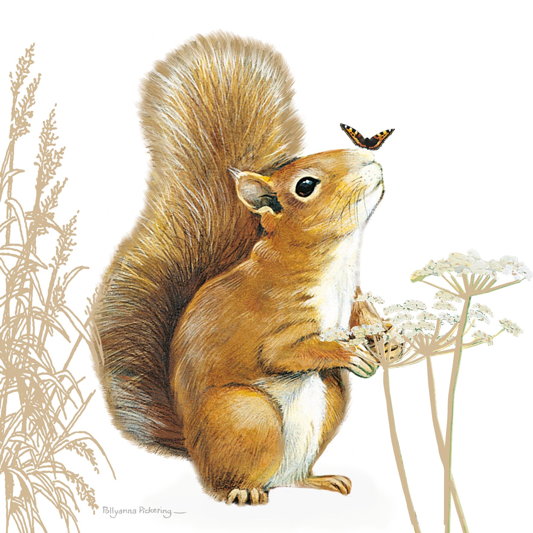 Plenty Gifts Kaart CS Squirrel