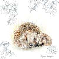 Plenty Gifts Kaart CS Hedgehogs