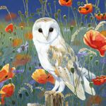 Kaart CS Watching And Waiting