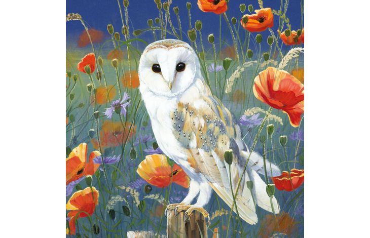 Plenty Gifts Kaart CS Watching And Waiting