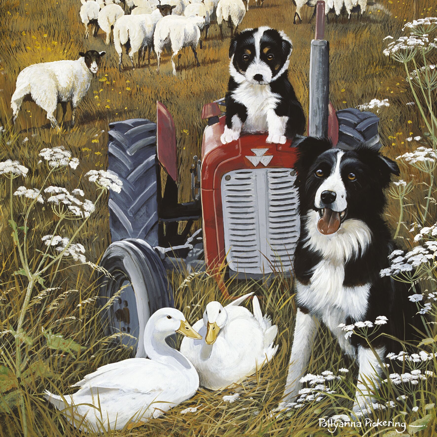 Plenty Gifts Kaart CS Ducks And Collies