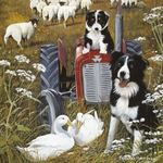 Kaart CS Ducks And Collies