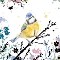 Plenty Gifts Kaart CS Blue Tit