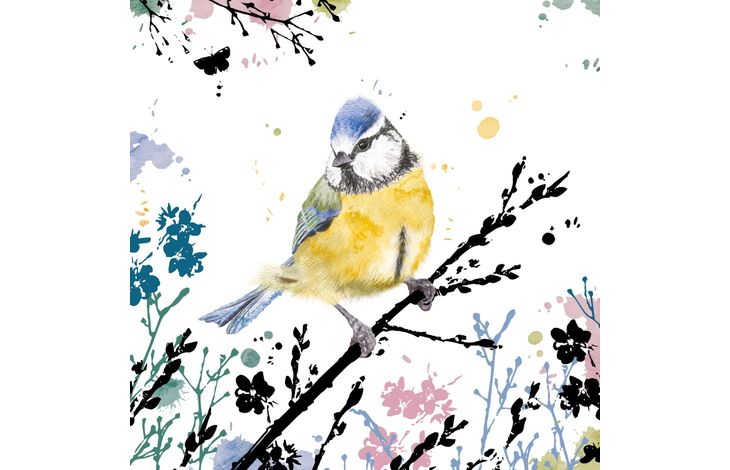 Plenty Gifts Kaart CS Blue Tit