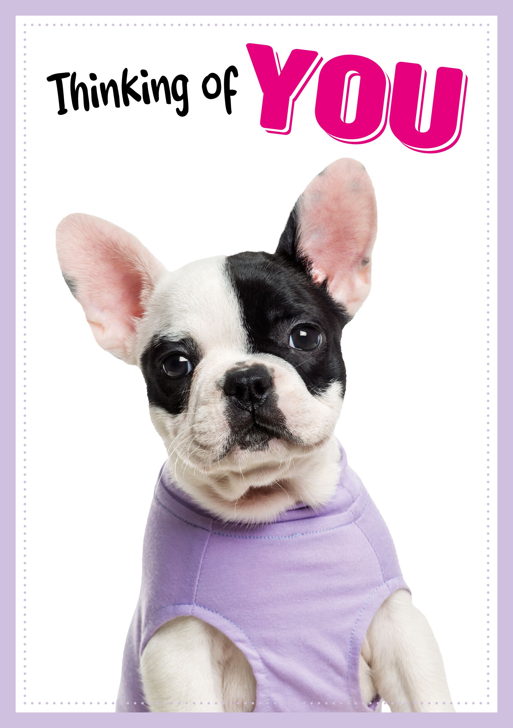 Plenty Gifts Kaart A5 Thinking Of You Frenchie (v)