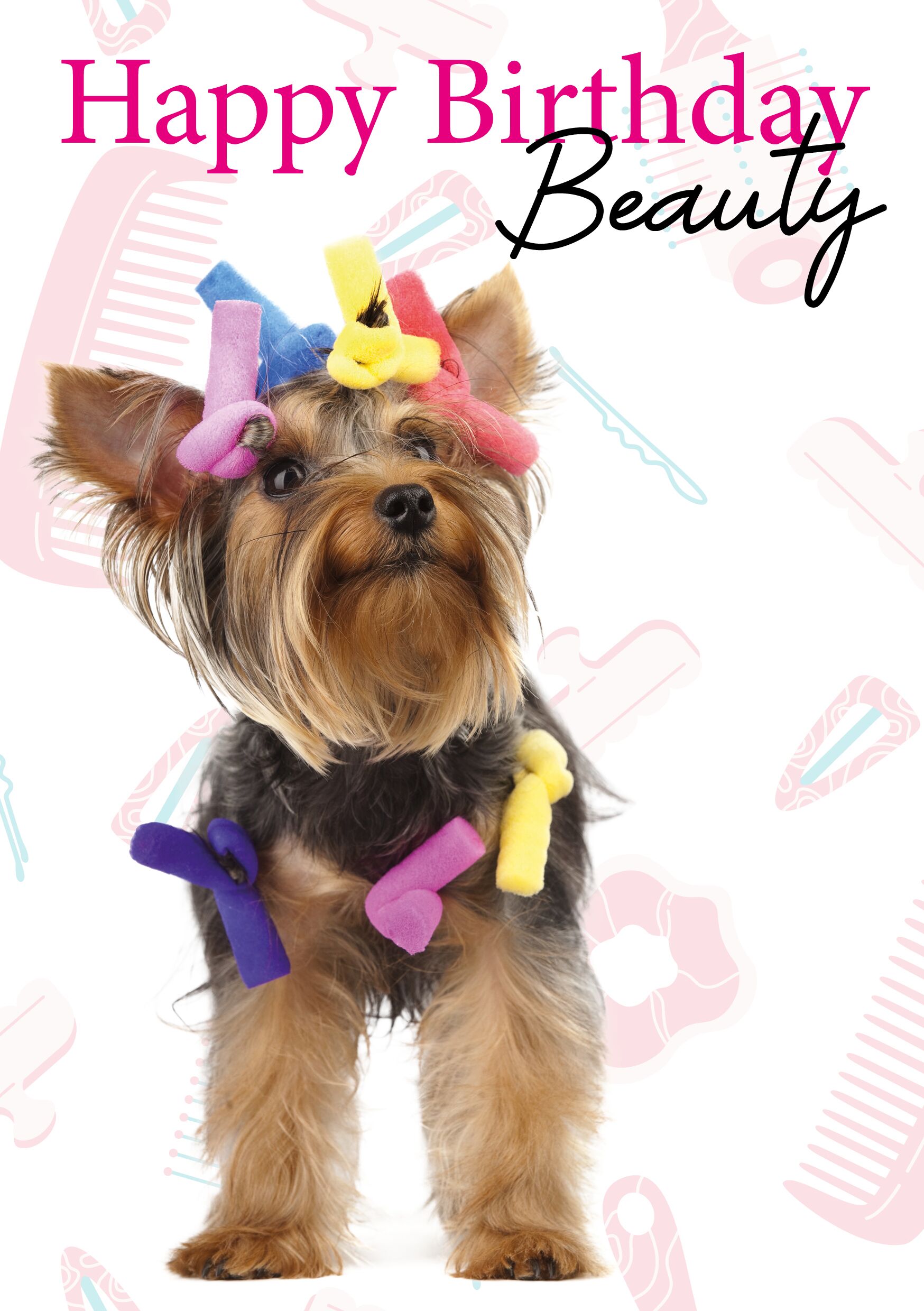 Plenty Gifts Kaart A5 Birthday Beauty (v)