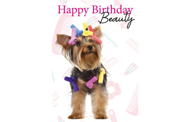 Plenty Gifts Kaart A5 Birthday Beauty (v)