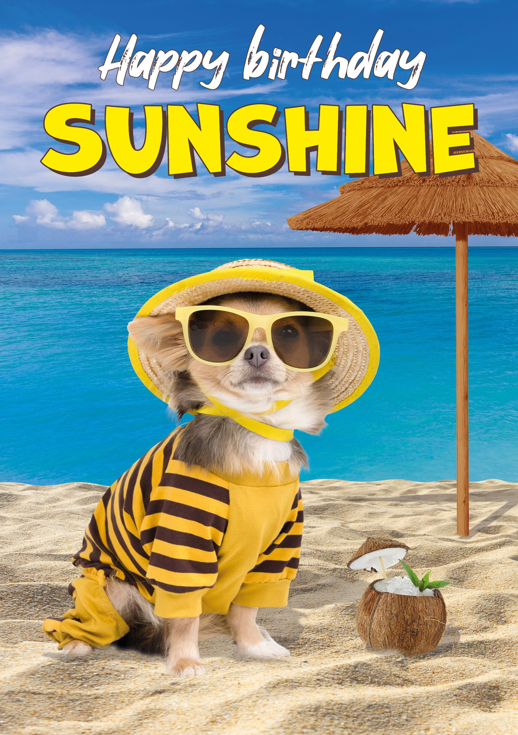 Plenty Gifts Kaart A5 Birthday Sunshine (v)