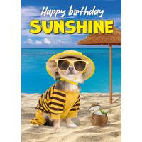 Plenty Gifts Kaart A5 Birthday Sunshine (v)