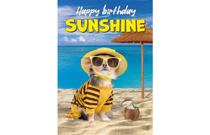 Plenty Gifts Kaart A5 Birthday Sunshine (v)