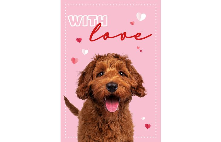 Plenty Gifts Kaart A5 With Love (v)