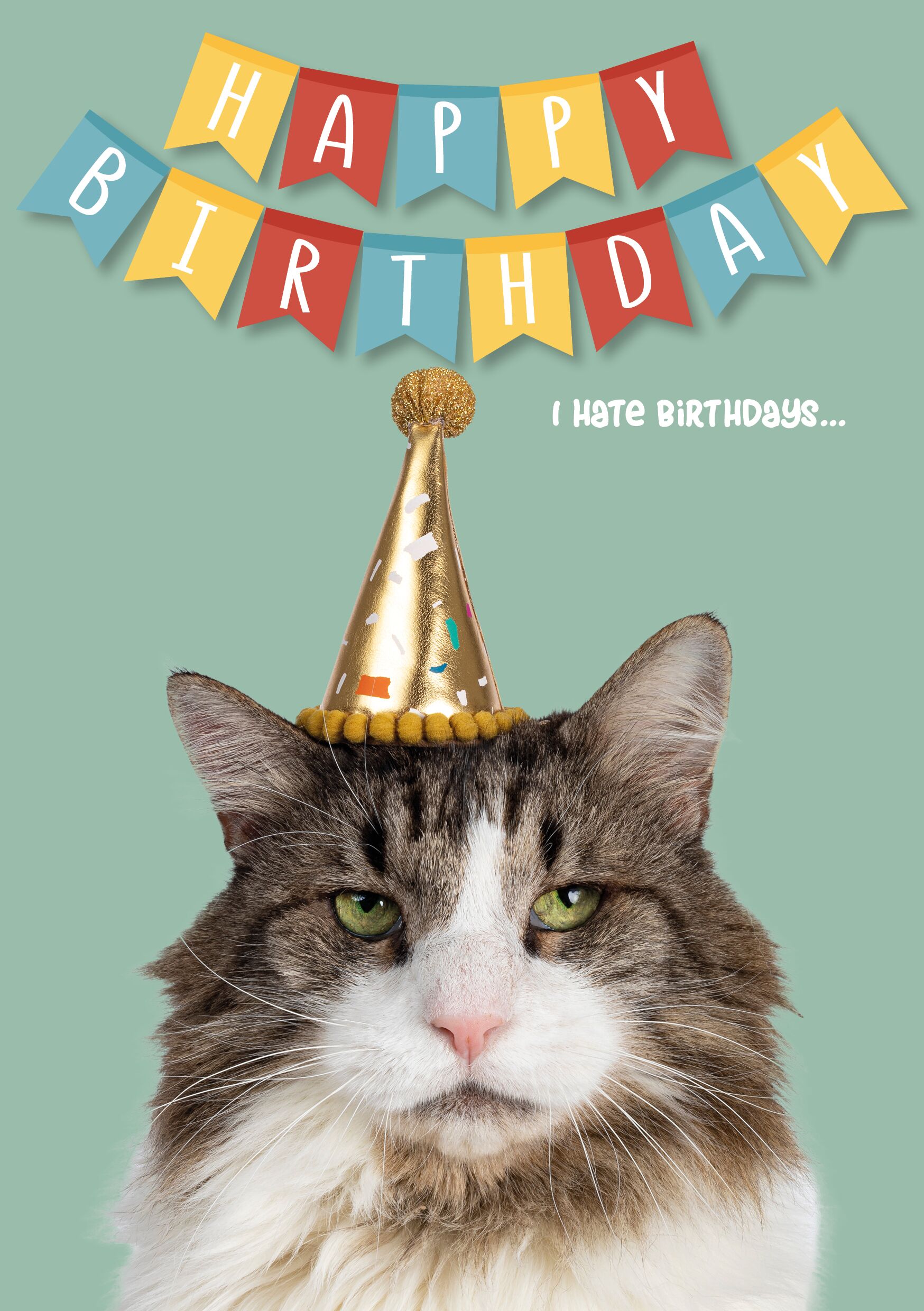 Plenty Gifts Kaart A5 I Hate Birthdays (v)