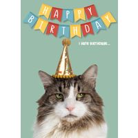 Plenty Gifts Kaart A5 I Hate Birthdays (v)